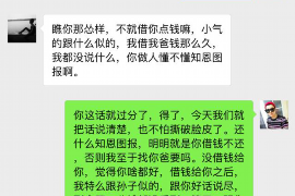 玉屏为什么选择专业追讨公司来处理您的债务纠纷？